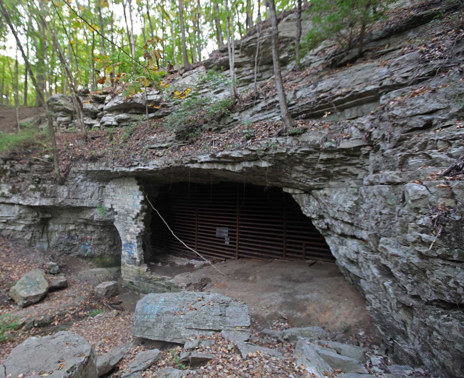 Cliff Cave Park